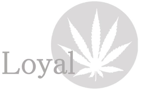 loyal